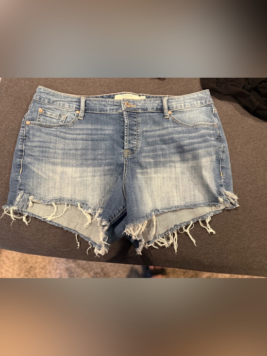 torrid Pants - Women's Distressed Denim Shorts - Light Blue